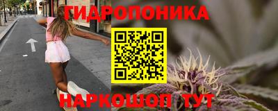 ECSTASY Дмитров