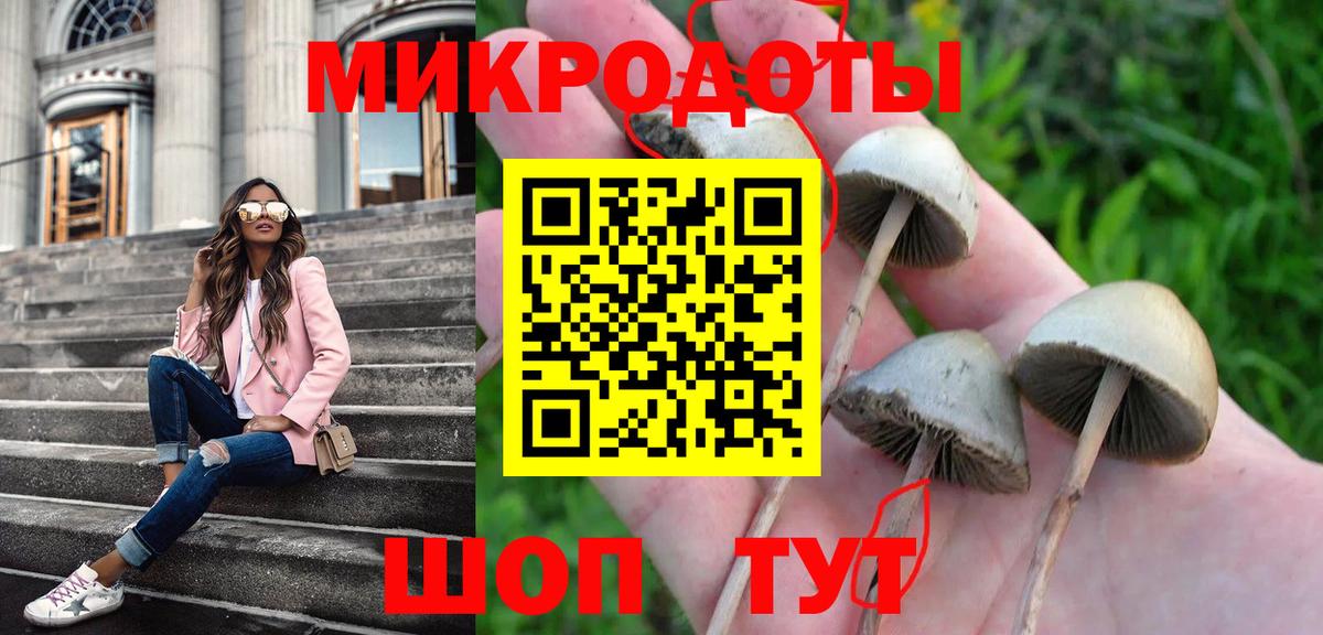 Сафоново  Галлюциногенные грибы MAGIC MUSHROOMS  Галлюциногенные грибы Psilocybe  Вход с VPN 