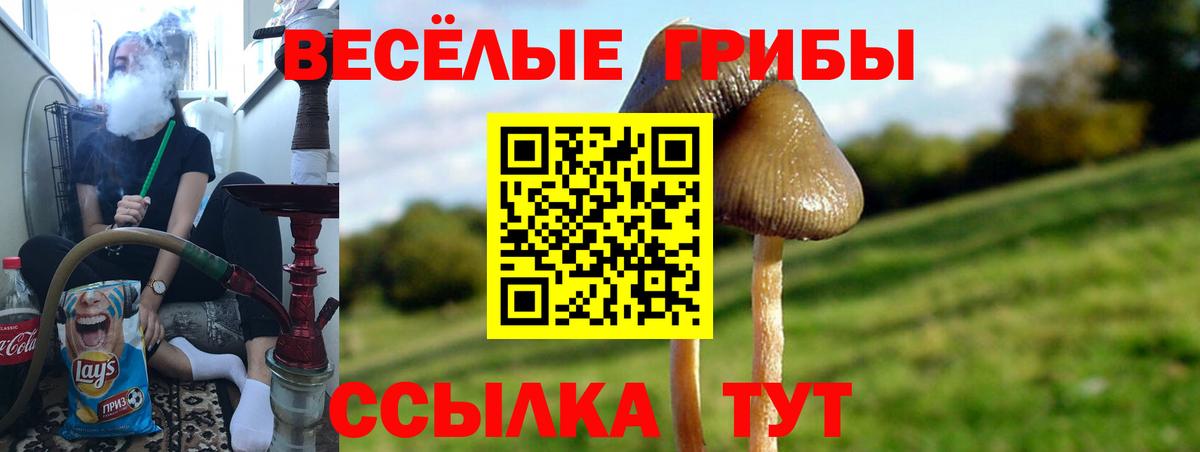 Псилоцибиновые грибы GOLDEN TEACHER Сафоново